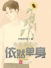 安先生今天依然单身封面