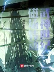 磁场转动武神世纪封面