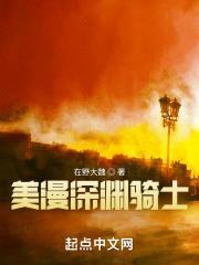 哥谭下的夜枭封面