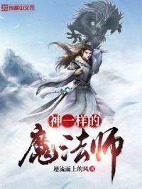 神一样的魔法师封面