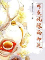 昨夜风骤雨却疏封面