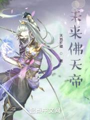 未来佛天帝封面