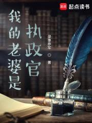 我的老婆是执政官封面