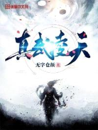 真武凌天封面