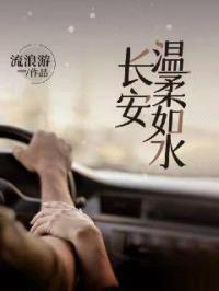 长安温柔如水封面