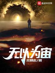 无以为宙封面