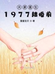 夫妻重生1977结婚前封面