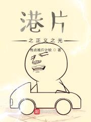 港综之破案封面