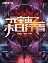 元宇宙之末日行者封面