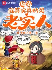 反清：我其实真的是老实人封面