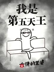 我是第五天王封面