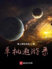单机遨游录封面
