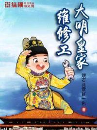 大明皇家维修工封面