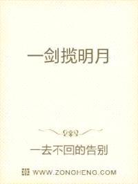 一剑揽明月封面
