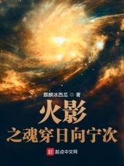 火影之魂穿日向宁次封面