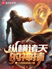 纵横诸天的神捕封面