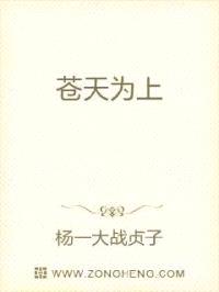 苍天为上封面