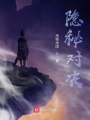 隐秘对决封面