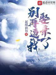 别再逼我娶亲了封面