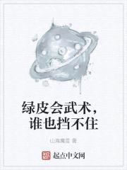 绿皮会武术，谁也挡不住封面