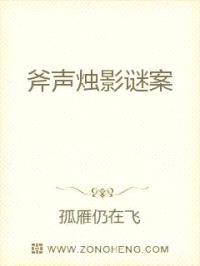 斧声烛影谜案封面