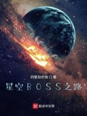 星空BOSS之路封面