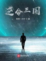 逆命三国封面