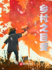 乡村之巨变封面