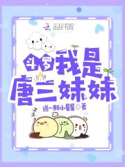 斗罗：我是唐三meimei封面