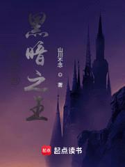 最后的黑暗之王封面