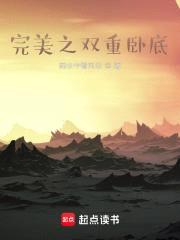 完美之双重卧底封面