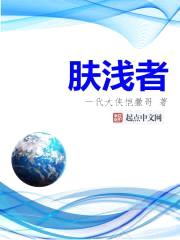 肤浅者封面