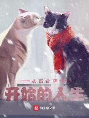 从四合院开始的人生封面