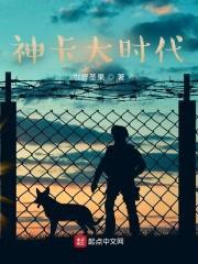 神卡大时代封面
