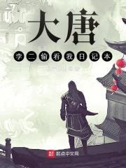 大唐：李二偷看我日记本封面