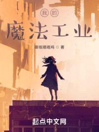 我的魔法工业封面
