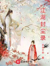 江湖封尘录封面