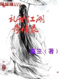 乱世江湖奇情录封面