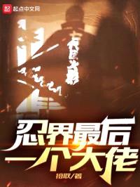 忍界最后一个大佬封面