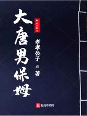 大唐男保姆封面