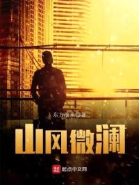 山风微澜封面
