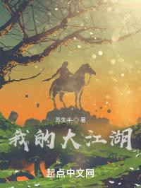 我的大江湖封面