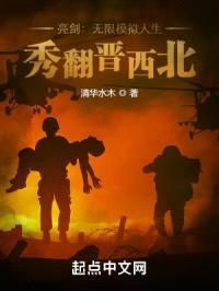 亮剑：无限模拟人生，秀翻晋西北封面