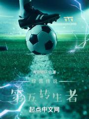 七世绿茵：第五转生者封面