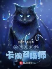 蒸汽时代的卡牌召唤师封面