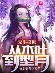 无限模拟：从木叶到型月封面