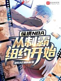 纵横NBA，从制霸纽约开始封面