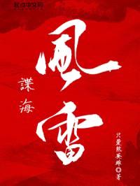 谍海风雷封面