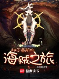 阿尔宙斯的海贼之旅封面