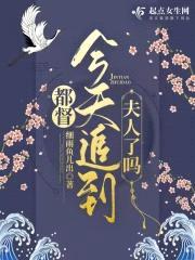 都督今天追到夫人了吗封面